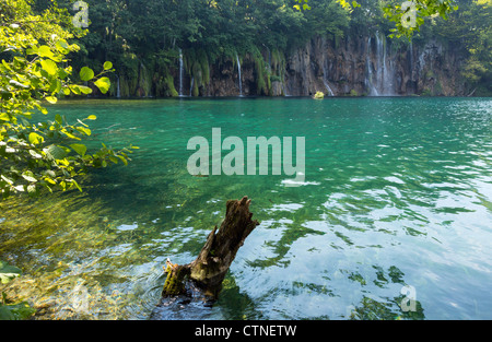 Bella estate cascate e verde limpido lago nel Parco Nazionale dei Laghi di Plitvice (Croazia) Foto Stock