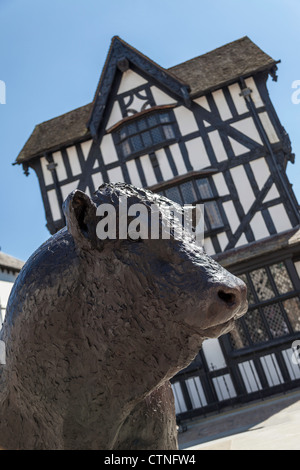 Scultura DI HEREFORD BULL IN HEREFORD CITY CENTER NELLA PARTE ANTERIORE DEL MEZZO IN LEGNO EDIFICIO. Foto Stock