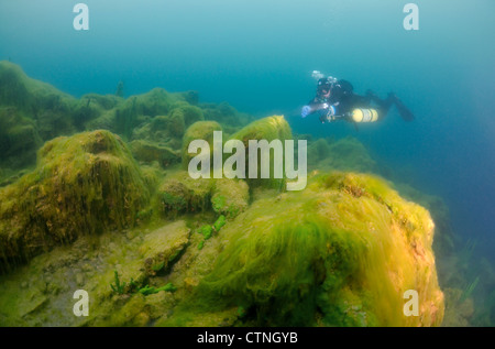 Acqua di seta, mermaid's tressses, o una coperta (erbaccia spirogira) la catastrofe ecologica per il lago Baikal Foto Stock