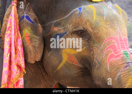 Ritratto di dipinto elephant (Elephas maximus), India Foto Stock