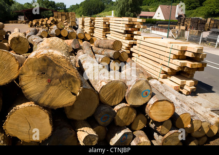 Pila di tree logs / registrazione / linee trunk / log in parte anteriore del legname tagliato plance / Legno preparato accatastati in pile di legname Foto Stock