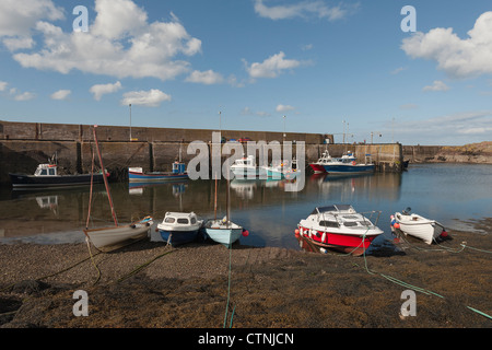 St Abbs Harbour in Berwickshire Foto Stock