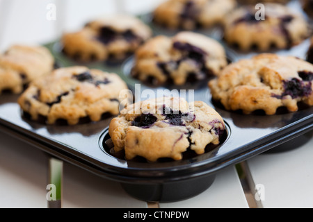 Close-up sul delizioso e sano fatta in casa muffin ai mirtilli Foto Stock