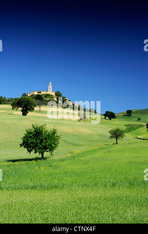 Italia, Basilicata, Sant'Arcangelo, campi di grano e monastero di Santa Maria di Orsoleo Foto Stock