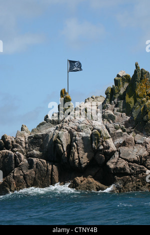 La vacca e vitello Rocks off punto Kallimay, St Agnes Isole Scilly Isole Scilly Cornwall Inghilterra UK Gran Bretagna GB Foto Stock