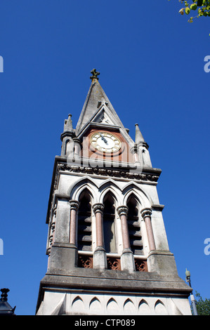 BITTERNE TRIANGOLO Parco Torre dell Orologio Foto Stock