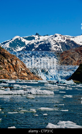 Estate bergs ghiaccio galleggiante nella parte anteriore del Sud Sawyer Glacier in Tracy Arm, Tracy Arm-Fords terrore deserto Souhteast Alaska Foto Stock