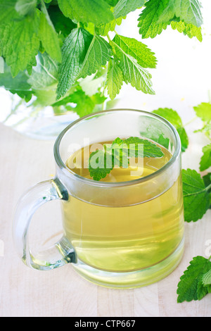 Il tè alla menta con foglie di menta fresca Foto Stock