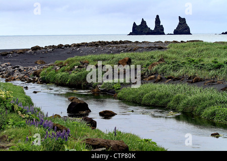 Il mare Reynisdrangar pile vicino a Vik nella costa meridionale dell'Islanda , Sud dell'Islanda Foto Stock