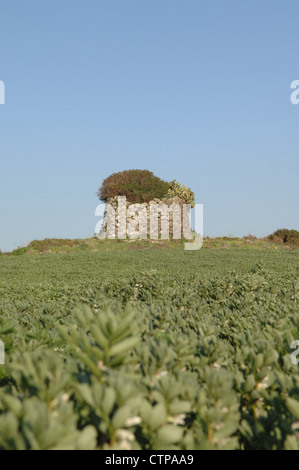 Nuraghe San Giovanni,preistorico edificio difensivo realizzato tra il 1000 e il 600 DC vicino villaggio Villurbana, in Sardegna Foto Stock