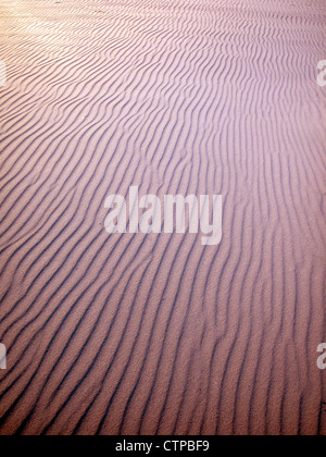 Dune di sabbia increspature su una spiaggia Foto Stock