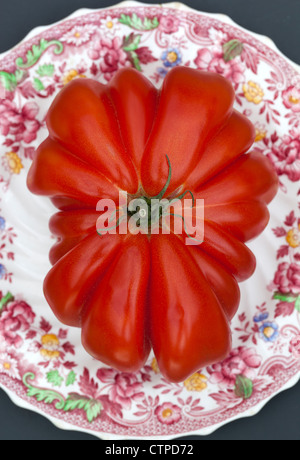 Pomodoro di manzo gigante (Zapotec Pleated) su piatto Foto Stock