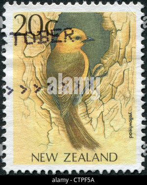 Nuova Zelanda - circa 1988: francobolli stampati in Nuova Zelanda, mostra un uccello a doppio spiovente (Philesturnus carunculatus), circa 1988 Foto Stock