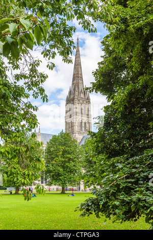 La Cattedrale di Salisbury, Wiltshire, Inghilterra, Regno Unito Foto Stock