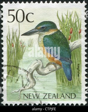 Nuova Zelanda - circa 1988: francobolli stampati in Nuova Zelanda, mostra un uccello Kingfisher, circa 1988 Foto Stock