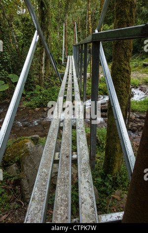 Passerella sul fiume lungo il Bajo Mono trail al di fuori di Boquete, Chiriqui Provincia, Panama. Foto Stock