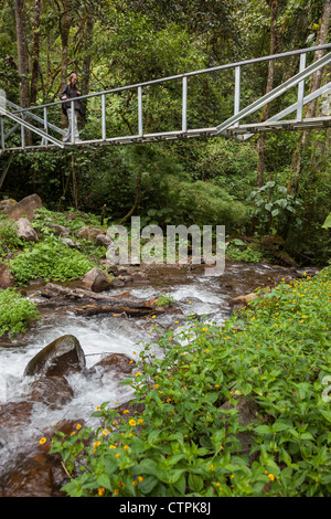 Escursionista attraversando ponte pedonale lungo la Bajo Mono trail al di fuori di Boquete, Chiriqui Provincia, Panama. Foto Stock