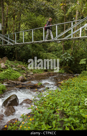 Escursionista attraversando ponte pedonale lungo la Bajo Mono trail al di fuori di Boquete, Chiriqui Provincia, Panama. Foto Stock