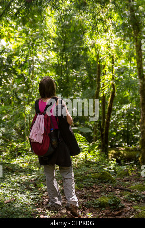 Escursionismo e stai cercando Quetzals sul Bajo Mono trail al di fuori di Boquete, Chiriqui Provincia, Panama. Foto Stock