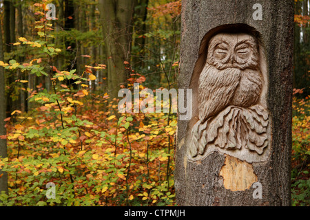 Intaglio del legno di un gufo sul tronco di albero nel bosco autunnale, Derbyshire, Regno Unito Foto Stock