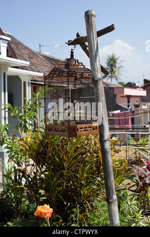 Caged bird appeso dal montante al di fuori di un villaggio rurale casa java indonesia Foto Stock