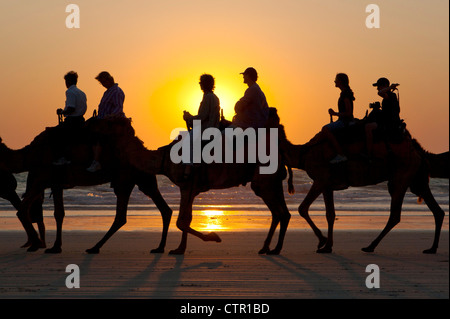 Sunset safari in cammello sulla spiaggia di Cable Beach, Broome, Australia occidentale, Australia Foto Stock