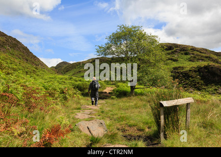 Walker camminando sul percorso fino Cwm Bychan valley nel Parco Nazionale di Snowdonia in estate vicino a Beddgelert, Gwynedd, Galles del Nord, Regno Unito Foto Stock