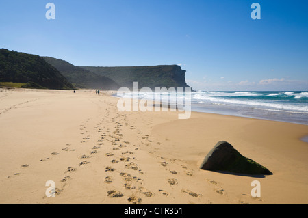 Il Royal National Park, Garie Beach, Nuovo Galles del Sud, Australia Foto Stock