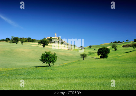 Italia, Basilicata, Sant'Arcangelo, campagna, campi di grano e monastero di Santa Maria di Orsoleo Foto Stock