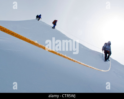 Gruppo alpinisti vertice discendente crinale lungo re trincea rotta su Mt Logan Parco Nazionale Kluane Saint Elias Montagne Yukon Foto Stock