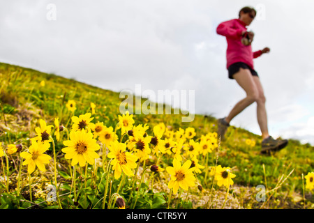 Donna trail running da Arctic Valley a sud Forcella di Eagle River, Chugach Mountains, centromeridionale Alaska, estate Foto Stock