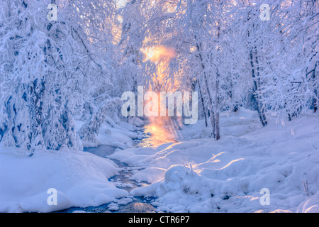 Flusso di piccole dimensioni in un brina coperto foresta con sunray nella nebbia in background, Jack russo Springs Park, Anchorage in Alaska, Foto Stock