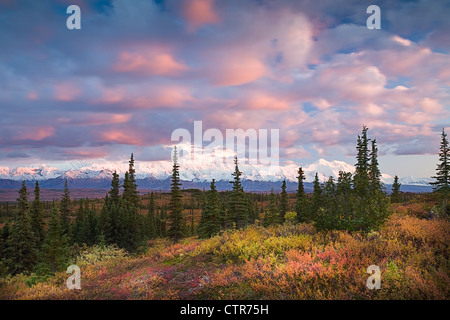 Nuvole rosa al tramonto guardando a sud dal lago di meraviglia Campeggio con Mt. McKinley , Denali National Park, Alaska Foto Stock