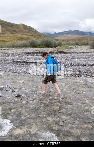 Femmina matura escursionista attraversa un flusso a piedi nudi nella palude forcella di Canning River Valley in Brooks Range, ANWR, Alaska Foto Stock