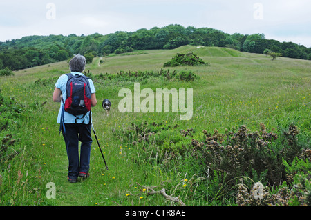 Donna che cammina con scabra collie verso tumuli sulla sommità del South Downs sopra Kingley Vale Foto Stock