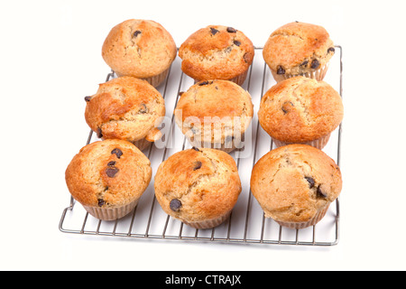 Fresco di forno, fatti in casa banana chocolate chip muffin raffreddare su una griglia. Foto Stock