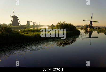 Mulini a vento e canali nella prima mattinata a Kinderdijk nei Paesi Bassi. Foto Stock