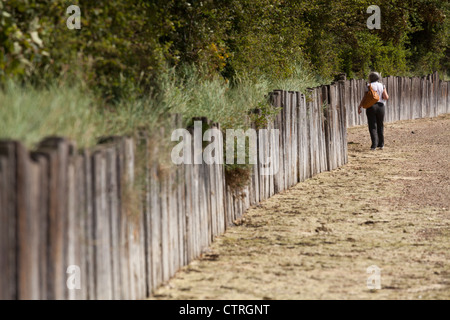 Donna che cammina lungo il lato di traversine di legno che funge da parete di mare al Porto di Langston Foto Stock