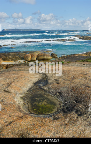 Rocce al pool di Verdi al largo della costa di William Bay National Park in Australia Occidentale Foto Stock