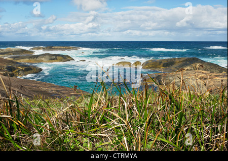 Rocce al pool di Verdi al largo della costa di William Bay National Park in Australia Occidentale Foto Stock