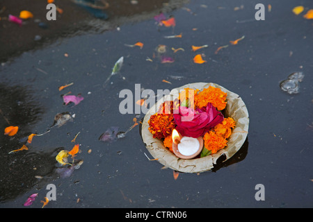 Le diverse offerte come fiori e candela galleggiante sul sacro fiume Yamuna in Mathura, Uttar Pradesh, India Foto Stock