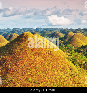 Vista delle colline di cioccolato. A Bohol, Filippine Foto Stock