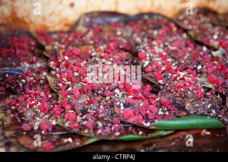 Noci di betel / noci di arec dado avvolto in foglie di betel pronto per il consumo a mercato di Bundi, Rajasthan, India Foto Stock