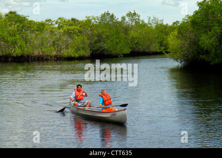 Naples Florida, Tamiami Trail, Collier Seminole state Park, Everglades Trail Nature Site, Blackwater River Water, mangrovie, noleggio canoa, adolescenti adolescenti Foto Stock