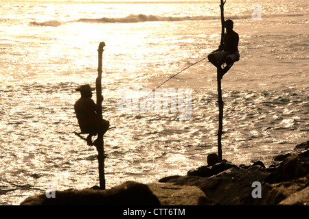 Stilt pescatori Weligama Bay, Sri Lanka Foto Stock