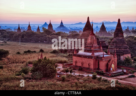 Myanmar Birmania, Bagan. Templi. Foto Stock