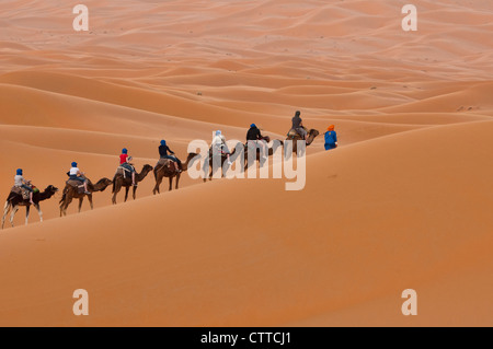 Passeggiate a dorso di cammello nel deserto del Sahara presso Erg Chebbi, Marocco Foto Stock