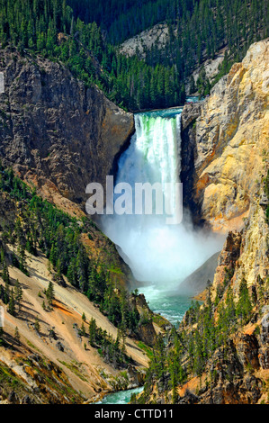 Le cascate Inferiori Yellowstone River National Park Wyoming WY negli Stati Uniti Foto Stock