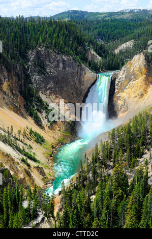 Le cascate Inferiori Yellowstone River National Park Wyoming WY negli Stati Uniti Foto Stock
