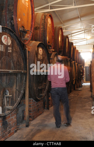 La cantina Contini, Cabras, Sardegna Foto Stock